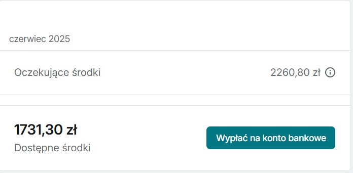 Przykład zarabiania na Vinted z Selliqo - efekt 19