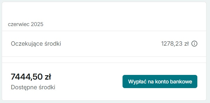 Przykład zarabiania na Vinted z Selliqo - efekt 1
