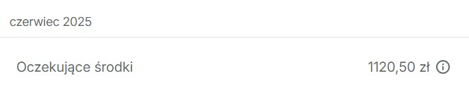 Przykład zarabiania na Vinted z Selliqo - efekt 2