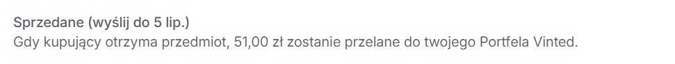 Przykład zarabiania na Vinted z Selliqo - efekt 15